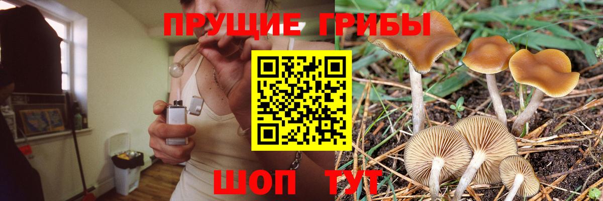 Галлюциногенные грибы MAGIC MUSHROOMS Урай